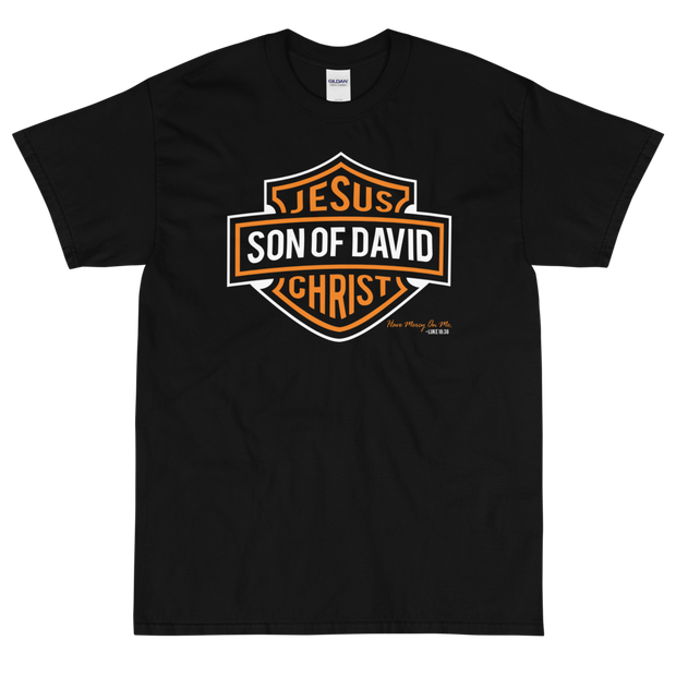 Jesus, Son of David - Heavy T-Shirt