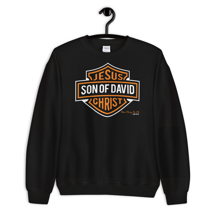 Jesus Christ Son of David Sweatshirt